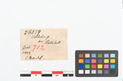 Etikett zu Bronzerollenkopfnadel (NHMW-PRAE-025859)